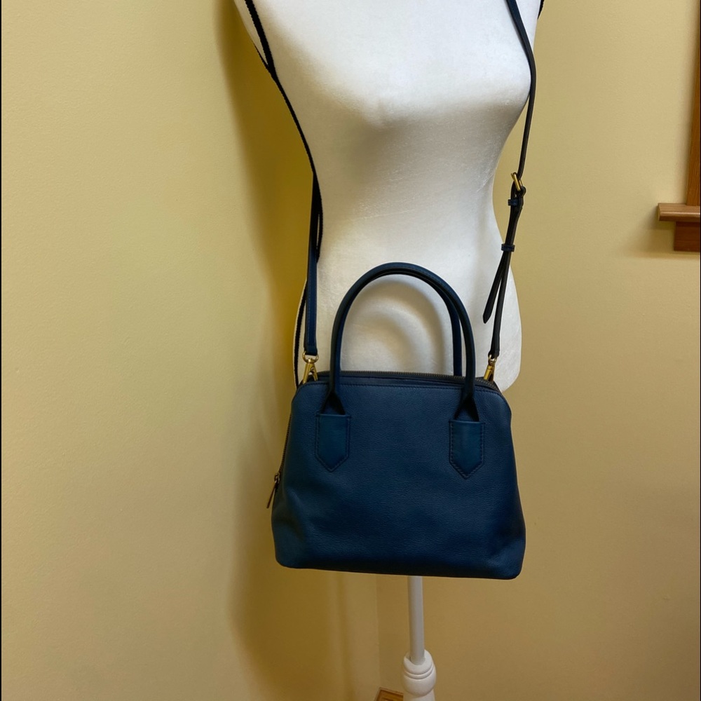 💗Fossil Lana Satchel💗